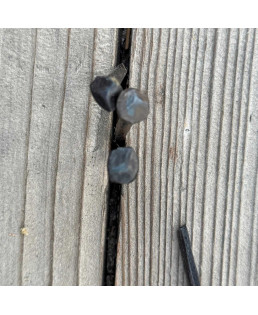 Real Vintage Antique Square Nails, 1.5 Inch Refurbished